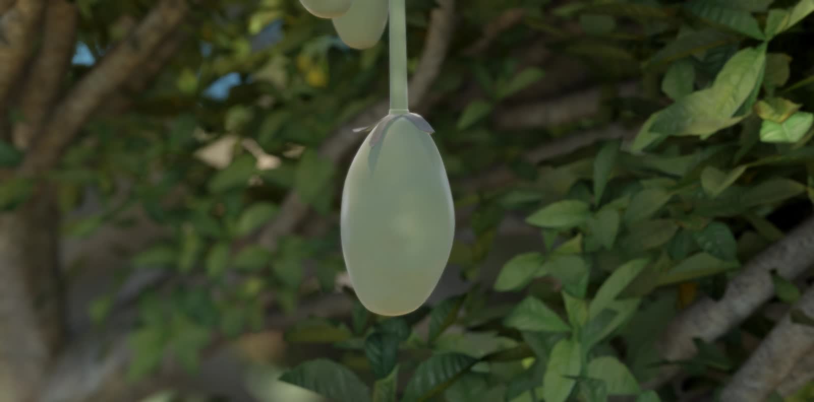 A three-dimensional baobab with fruit hanging among its branches