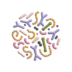 Gut microbiota